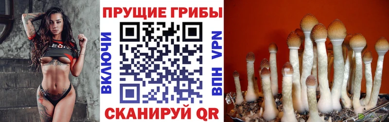 Галлюциногенные грибы Cubensis Купить Сызрань