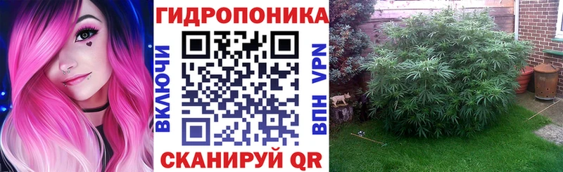 Каннабис OG Kush  Купить  Сызрань 